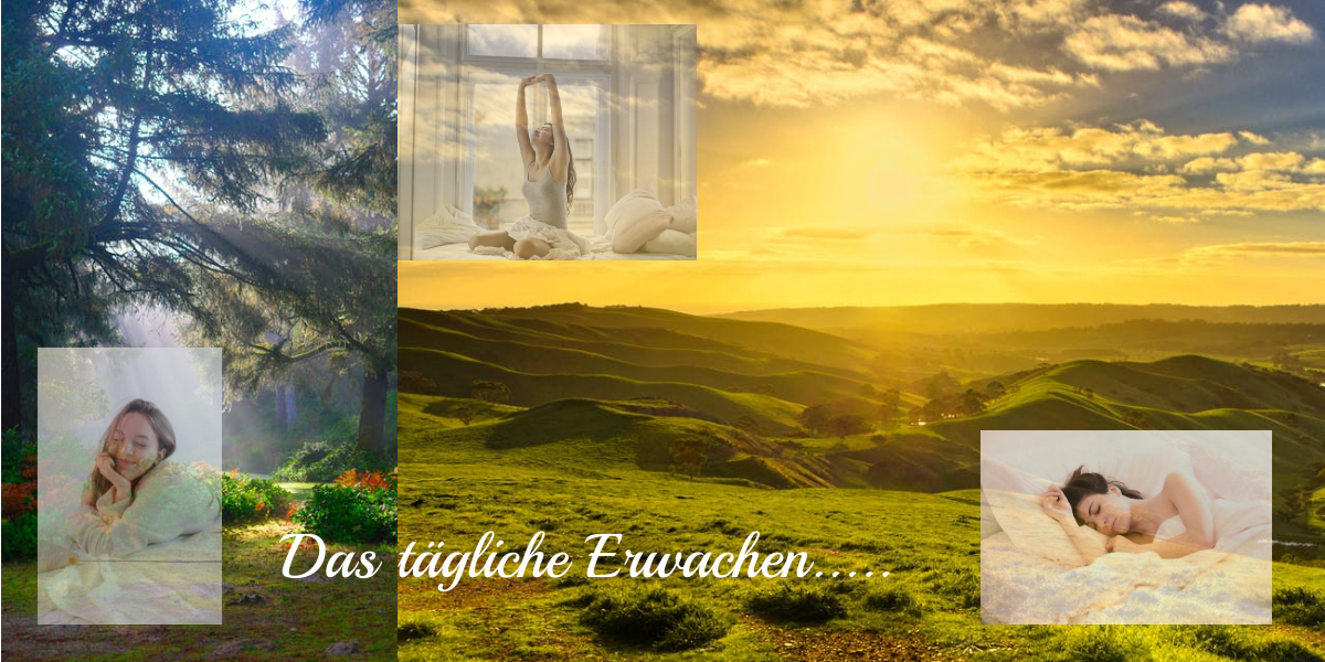 Tägl.Erwachen-Max-Quality