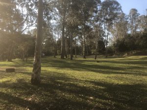 Peach Trees Campground