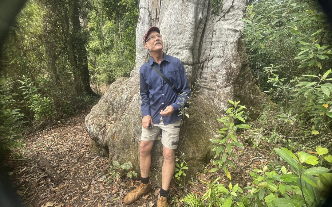 1-Begegnung-im-Wald