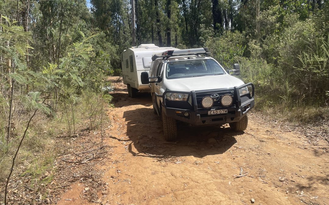 1-SnowyMountains-PaddysCamp