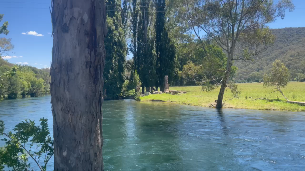 Tumut River (Time 0_04_50;05)