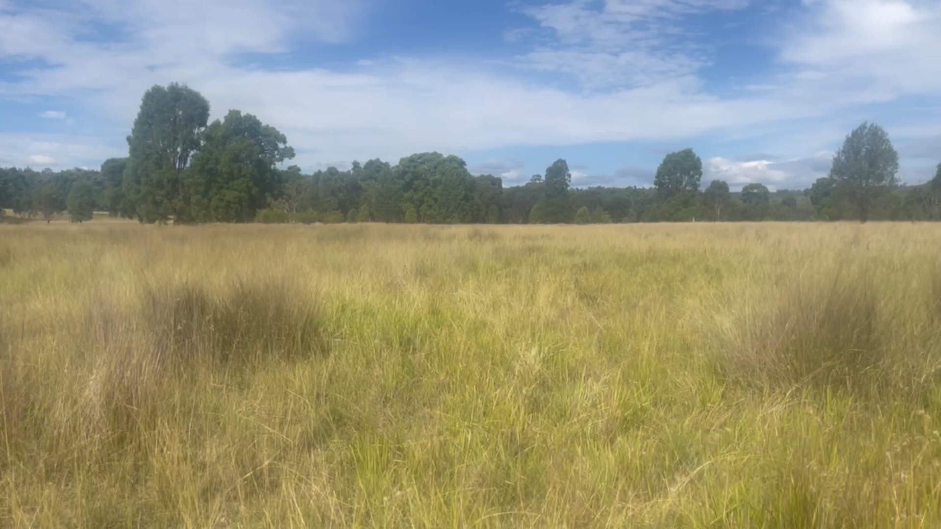 Camp Pine Park (Time 0_01_37;07)